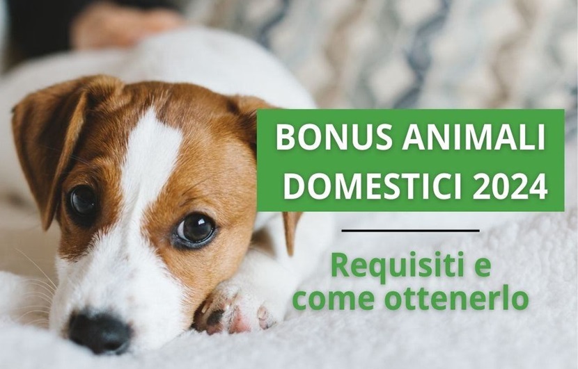 Bonus Animali Domestici 2024