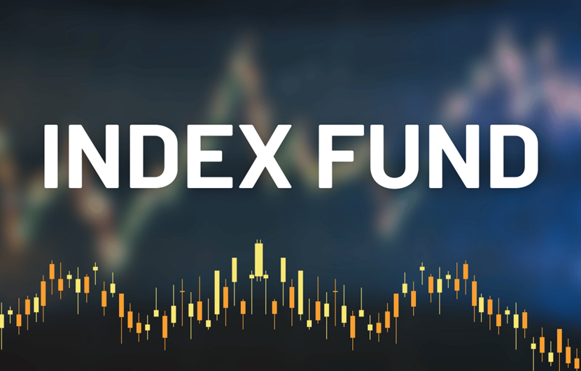 fondi indicizzati scelta ideale per investire