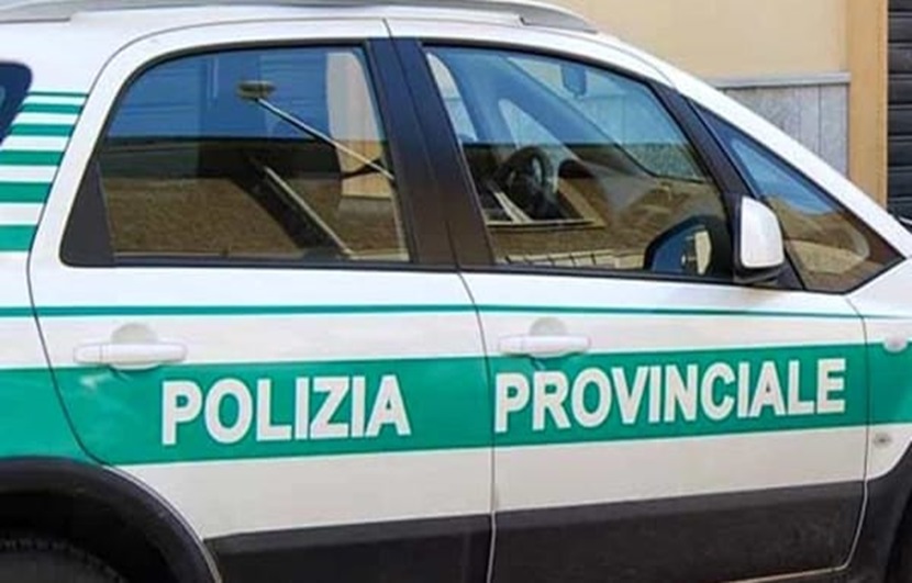 Concorsi Provincia Verona operatori istruttori