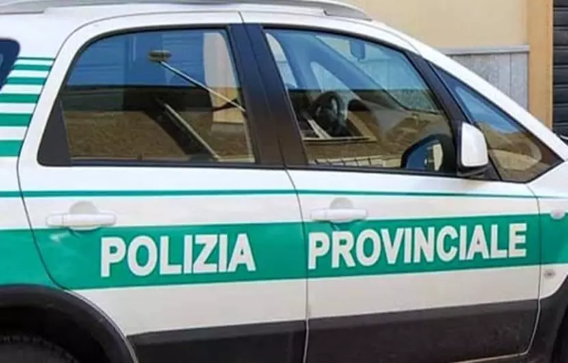 Concorsi Provincia Verona operatori istruttori